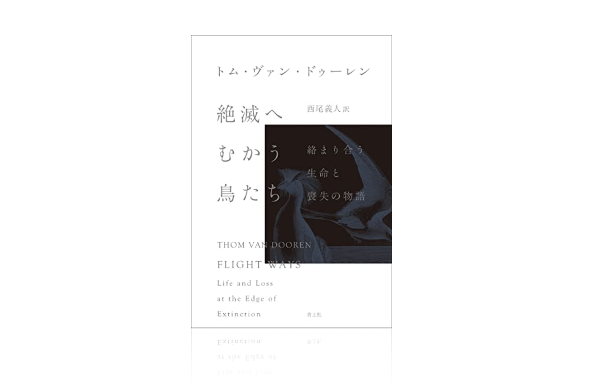 Japanese translation of Flight Ways